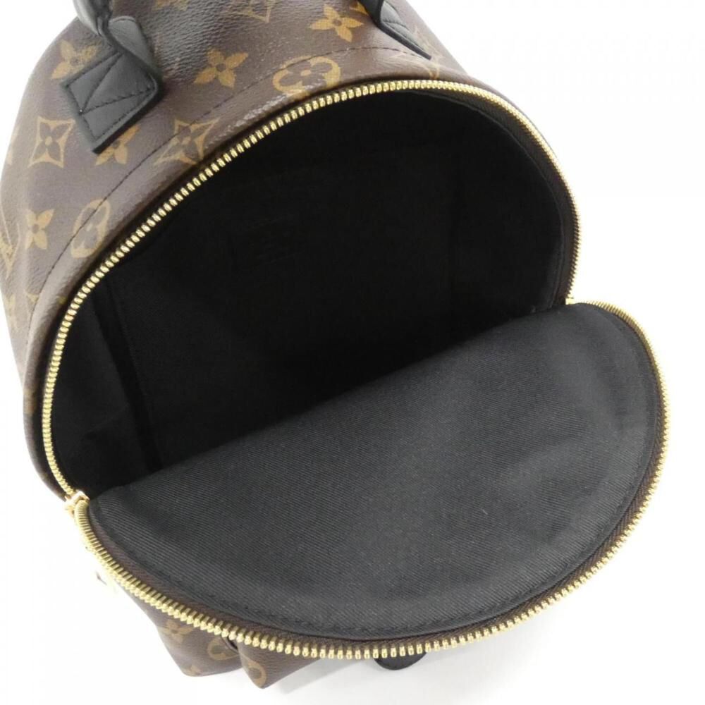 Louis Vuitton Palm Springs
