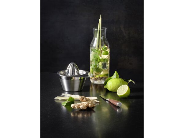 Citruspress 50 cl 14 x 12,2 cm Stål