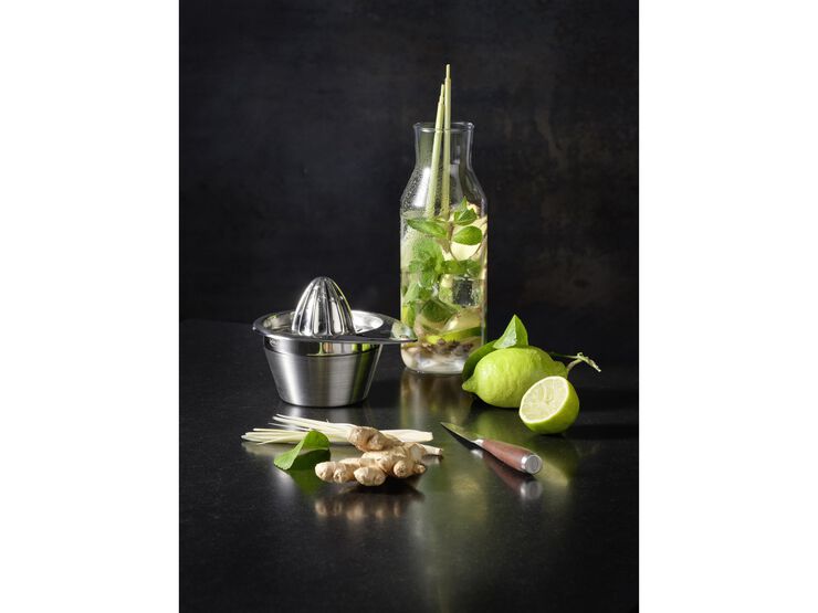 Citruspress 50 cl 14 x 12,2 cm Stål