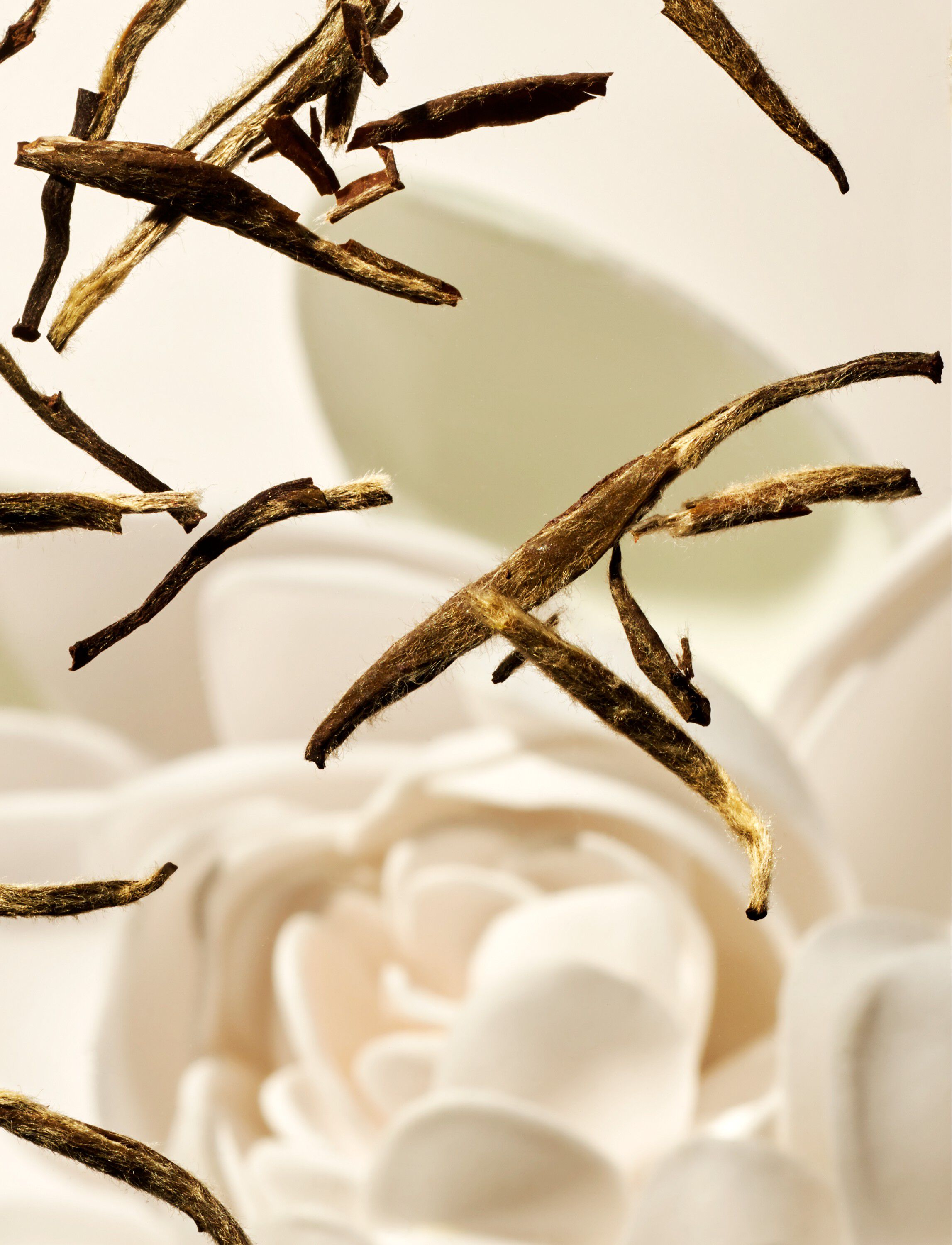 The Ritual of Karma Trial Set