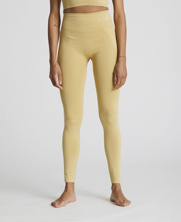Shanti Seamless Leggings
