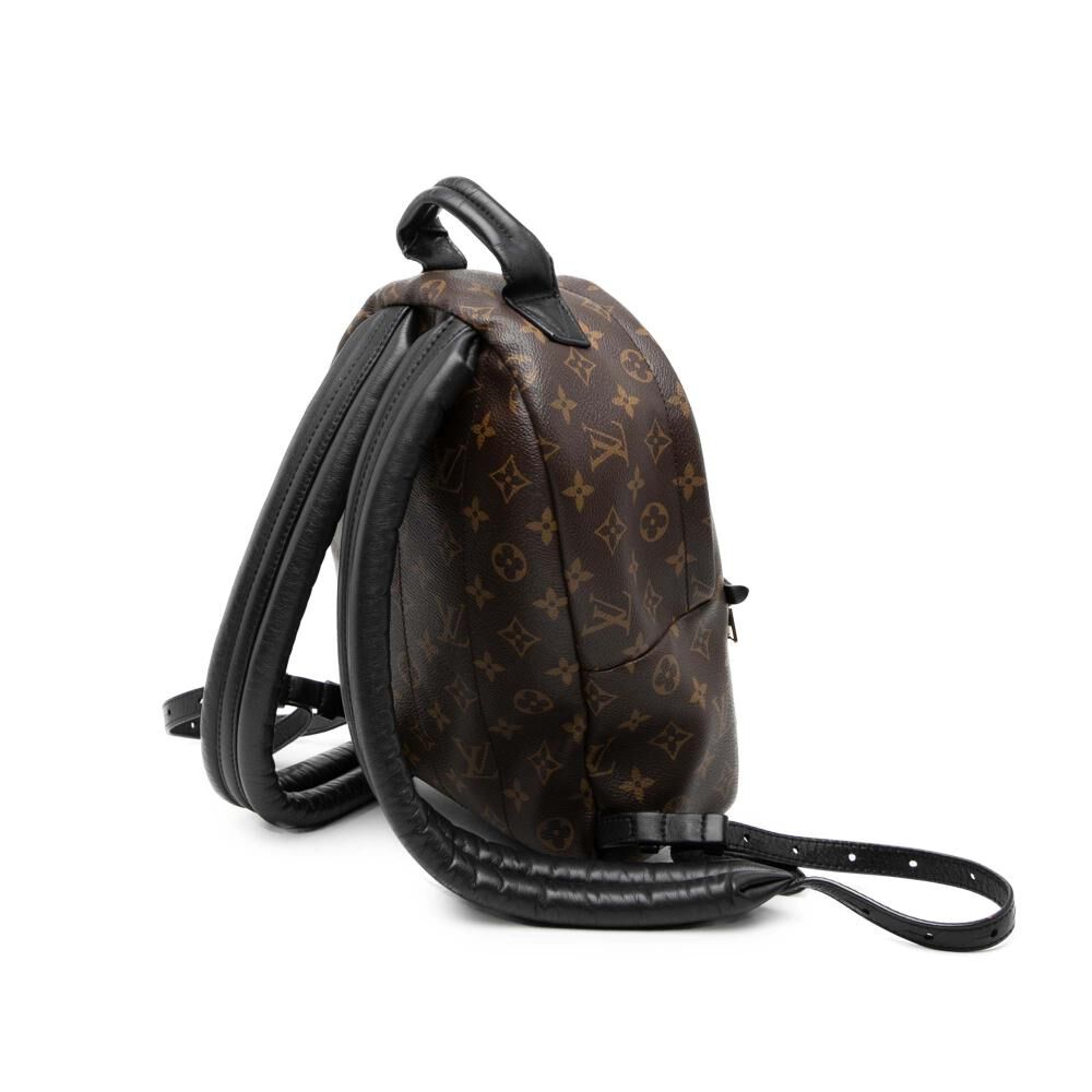 Louis Vuitton Palm Springs