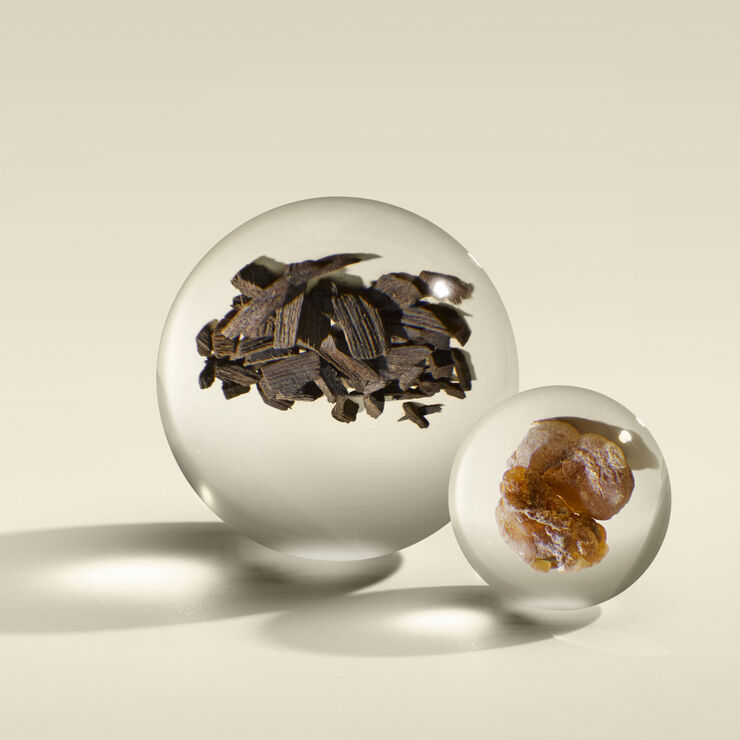 Molton Brown Oudh Accord & Gold Eau De Parfum 100 ml