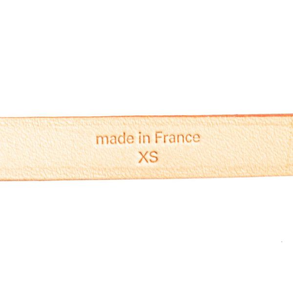 Louis Vuitton Florentine Pochette