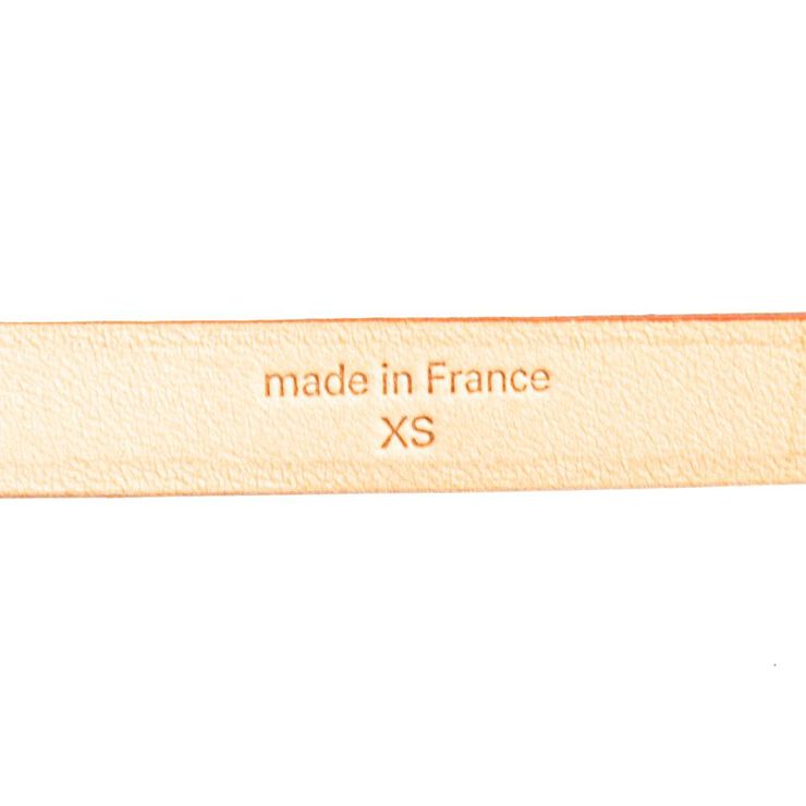 Louis Vuitton Florentine Pochette