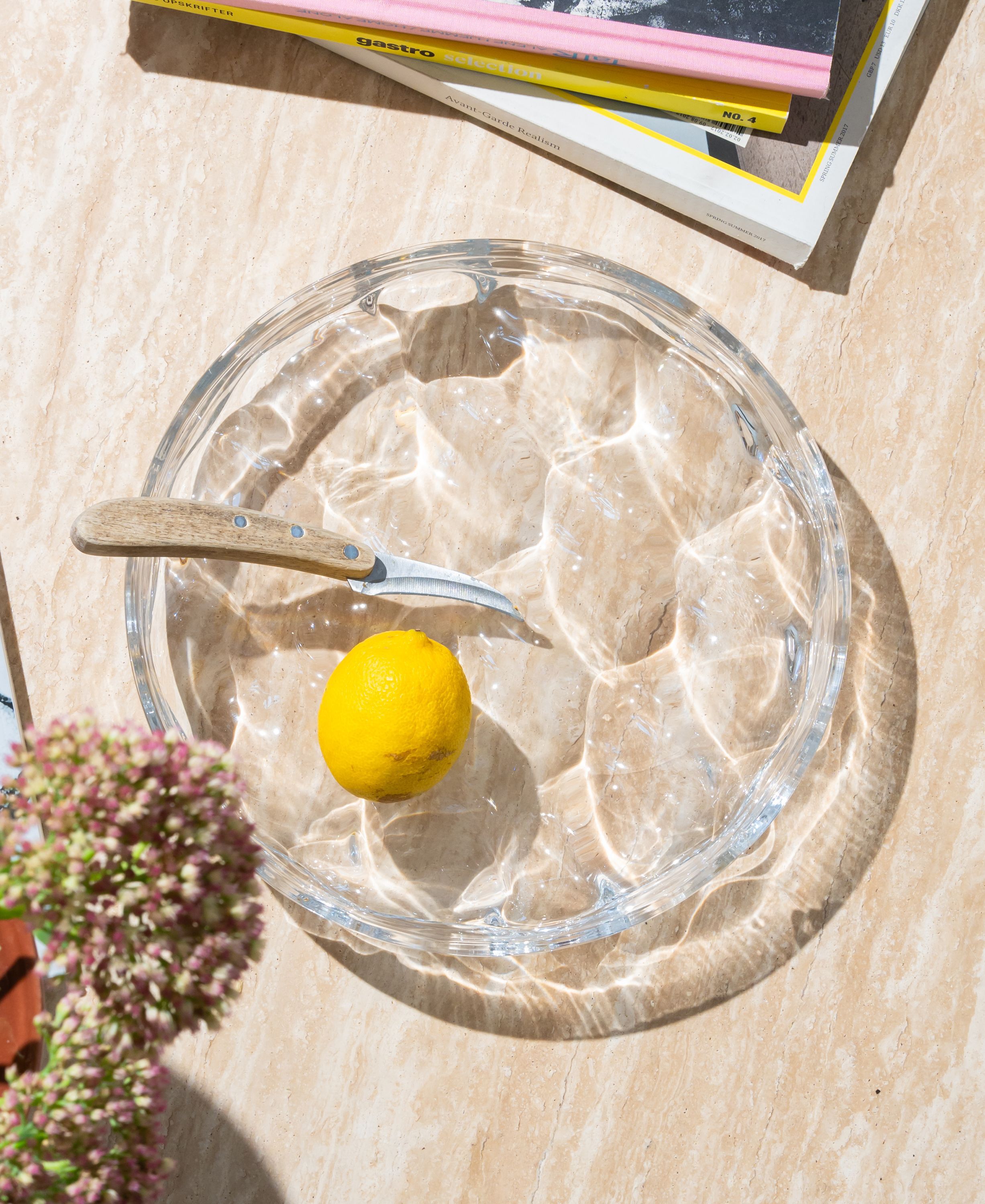 Blister Bowl - Clear