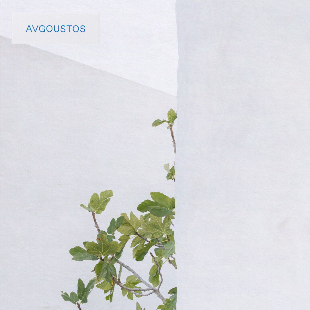 Avgoustos Eau De Toilette