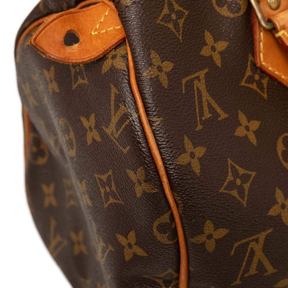 Louis Vuitton Speedy