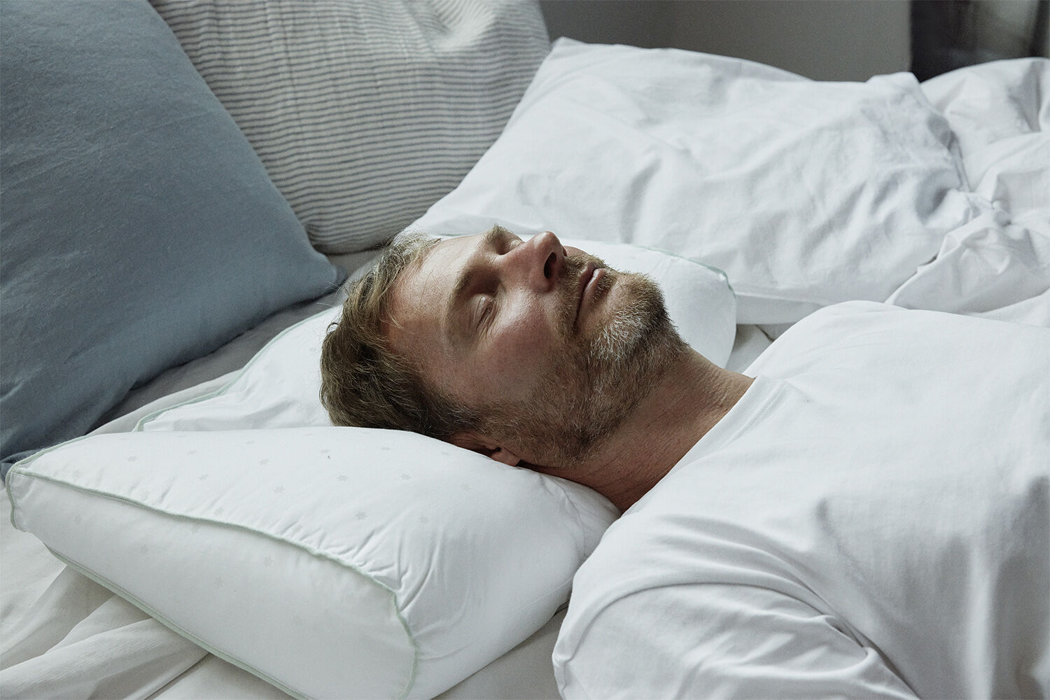 Fossflakes Chiropractic Large incl. Cover