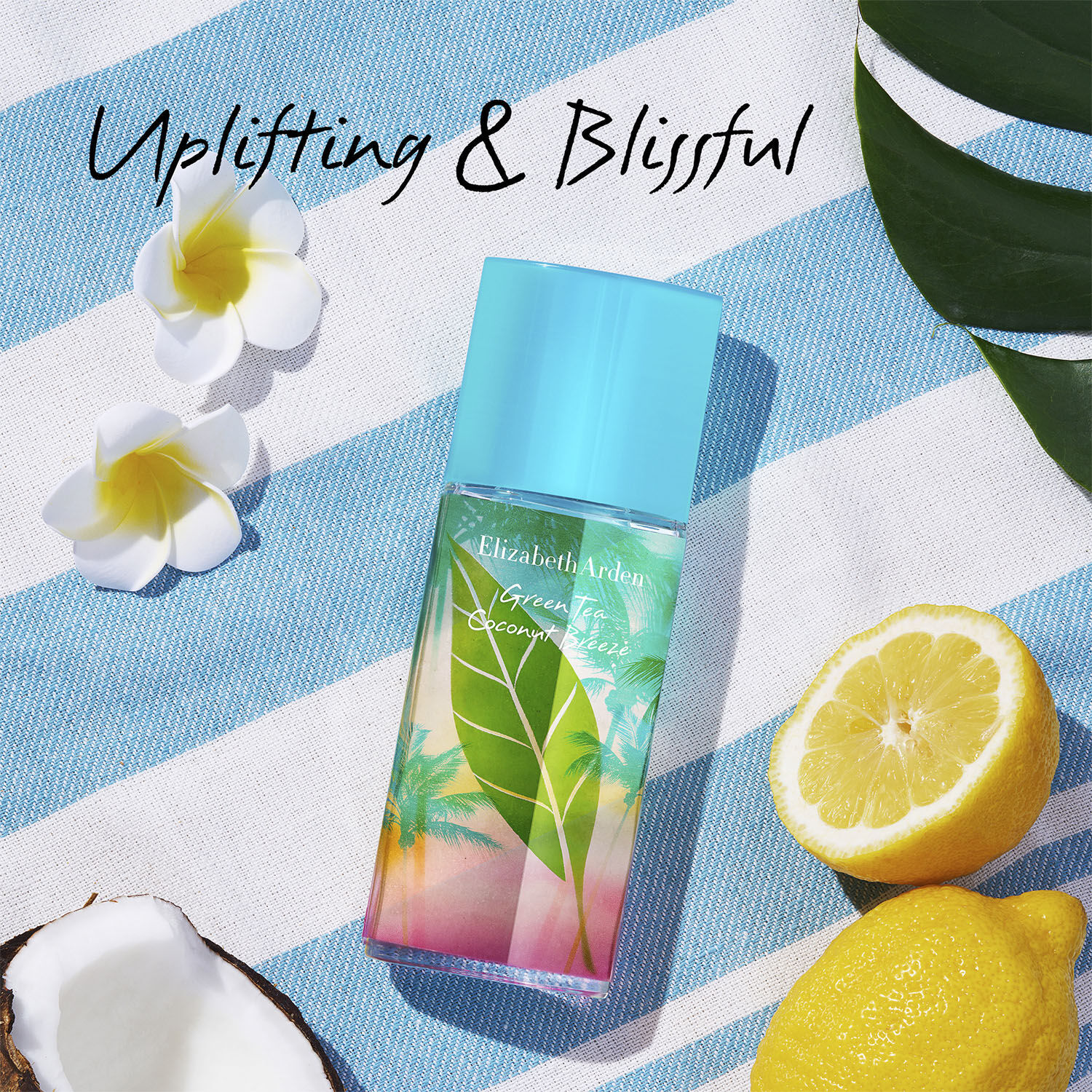 Green Tea Coconut Breeze Eau de Toilette