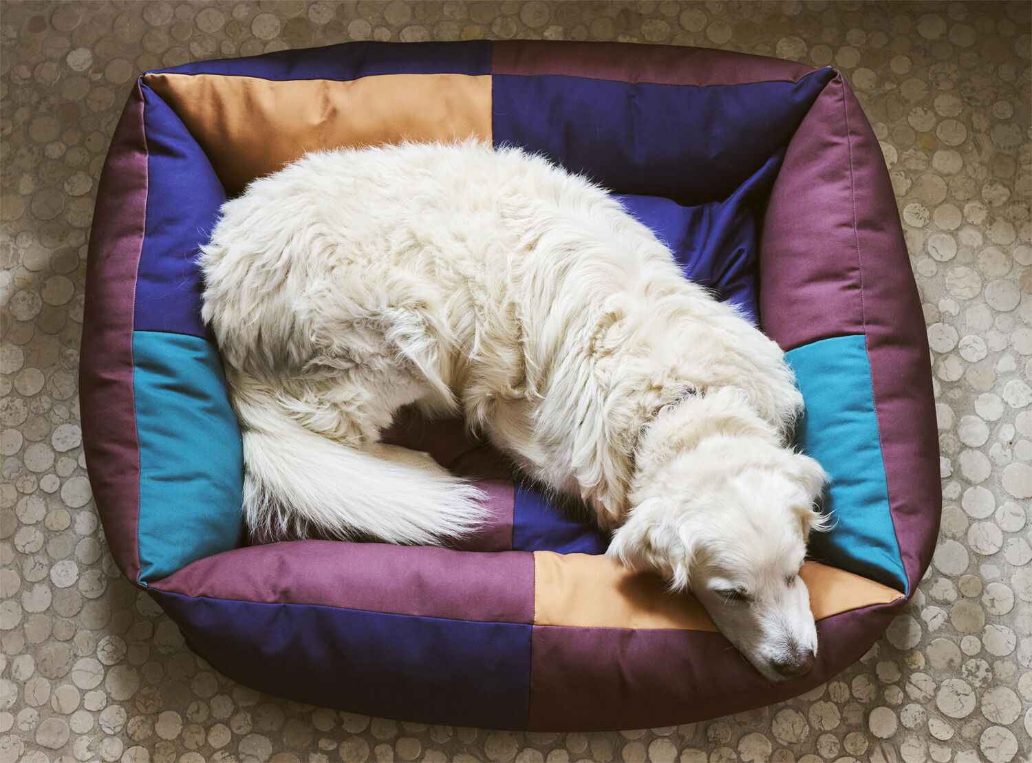 HAY Dogs Bed-Large-Burgundy, green