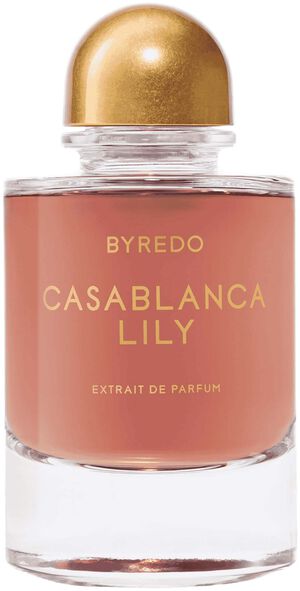 Night Veils Casablanca Lily
