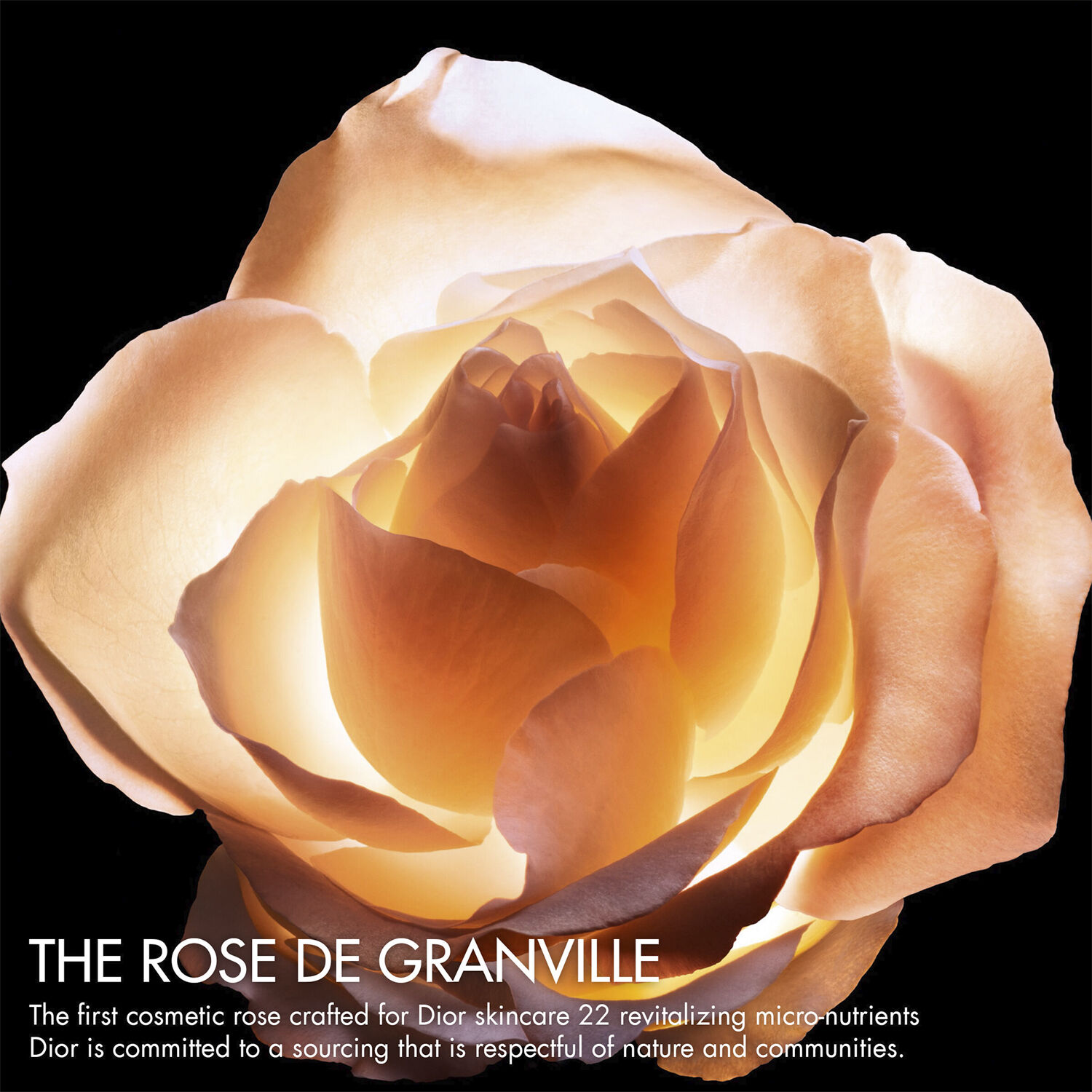 Dior Prestige Le Concentr&eacute; Yeux Refill Anti-Aging Care for Eye Contour