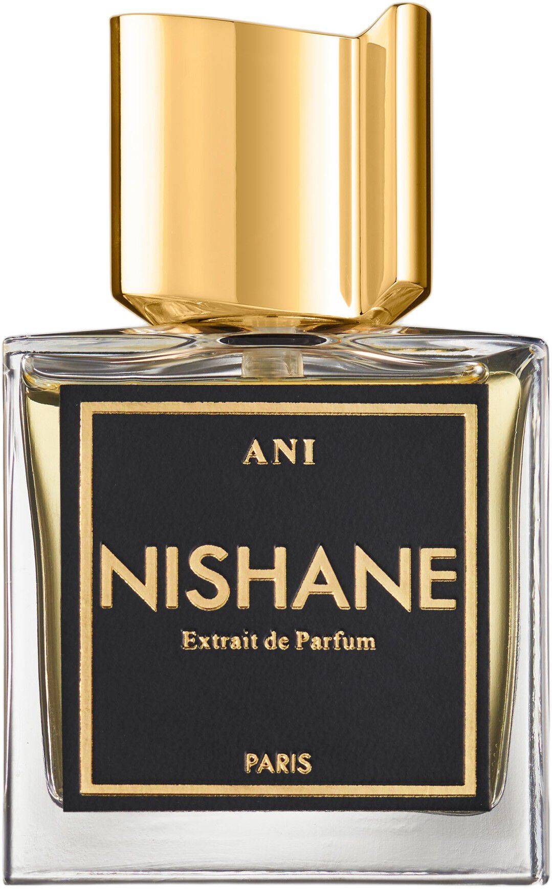 ANI EDP 100 ML