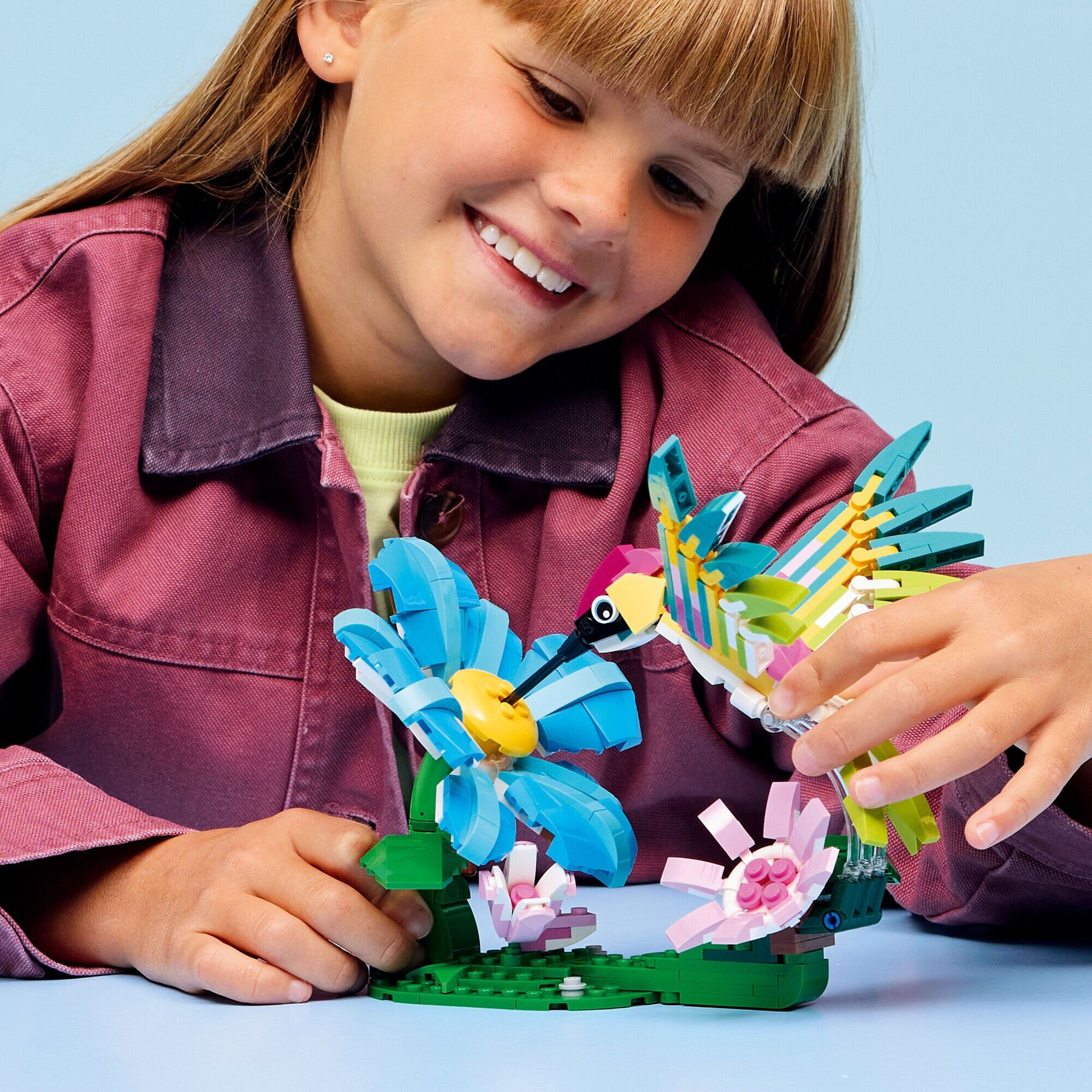 Vilde dyr - Farverig kolibri 31384