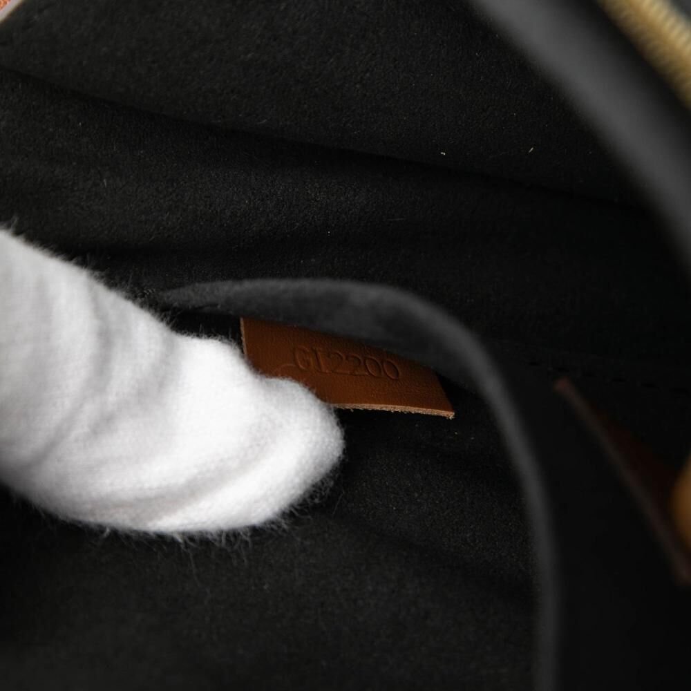 Louis Vuitton Dauphine