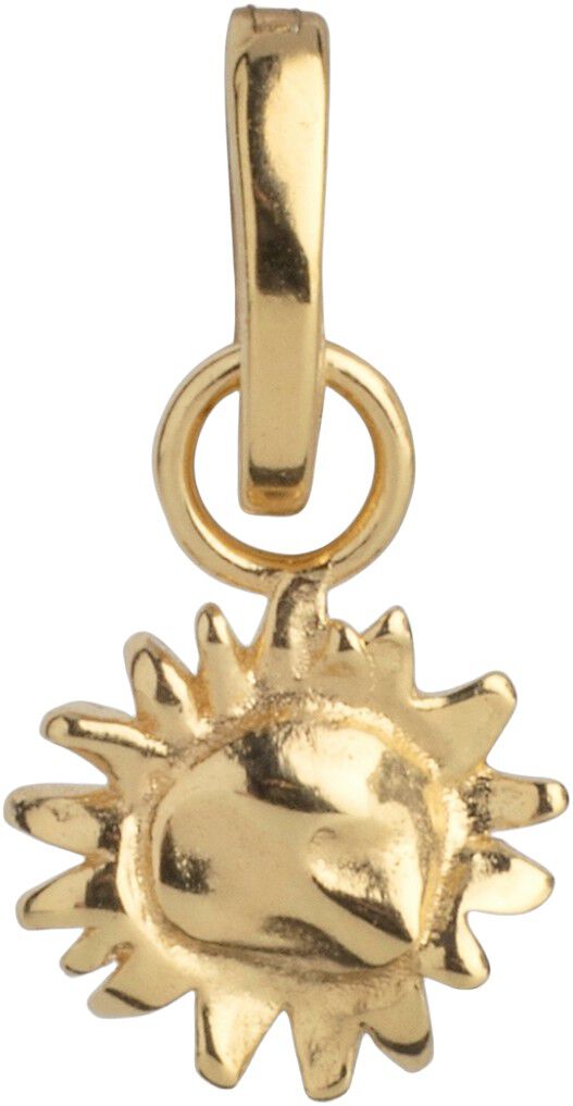 Charm, Sunny Sunshine