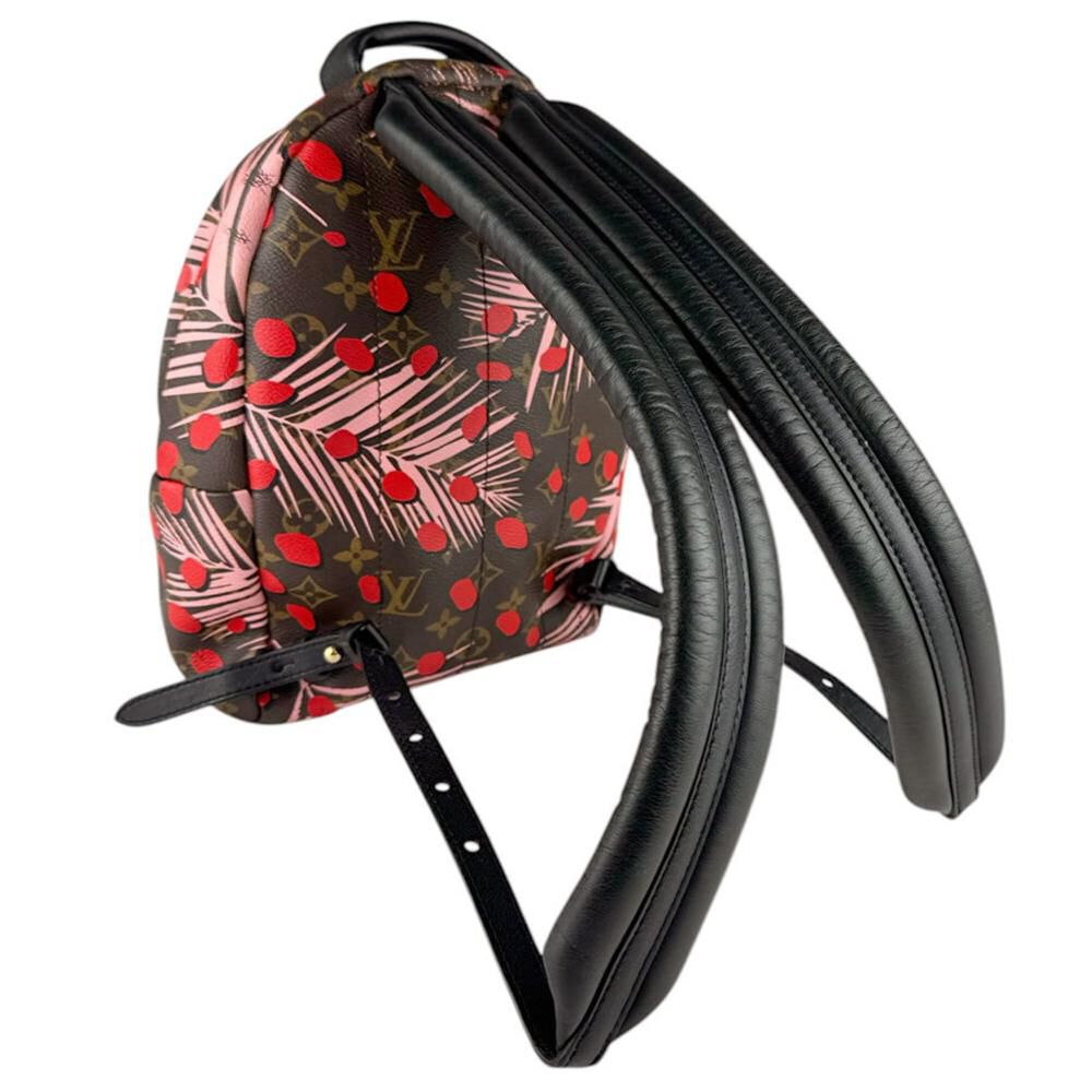 Louis Vuitton Palm Springs