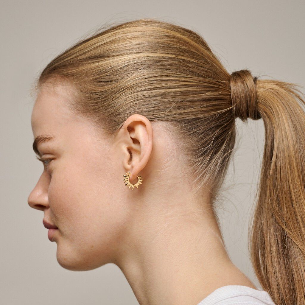 Hoops, Sunshine Leaves