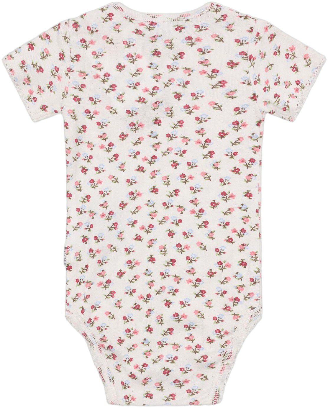 Body Hcbri Little Rose