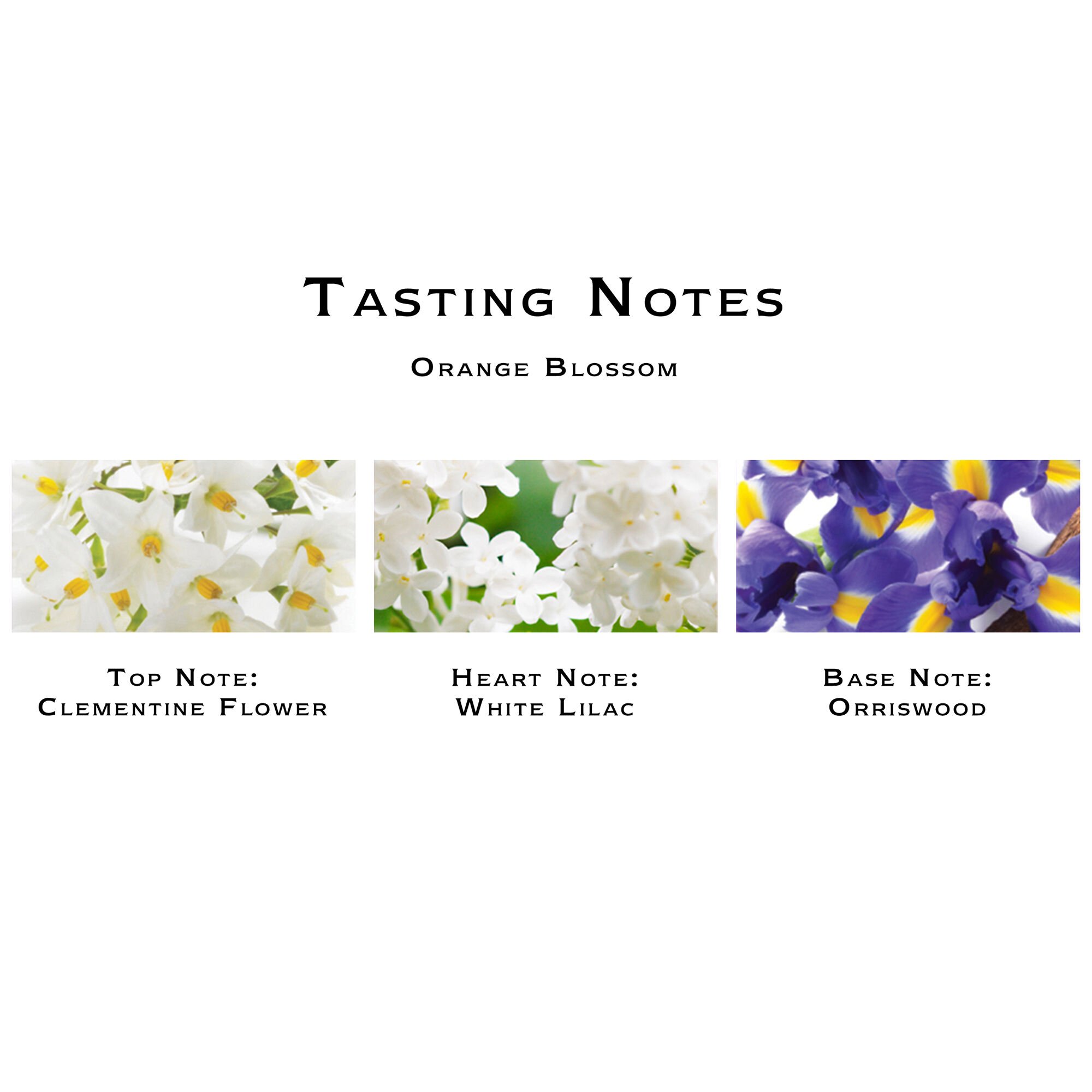 Orange Blossom Cologne