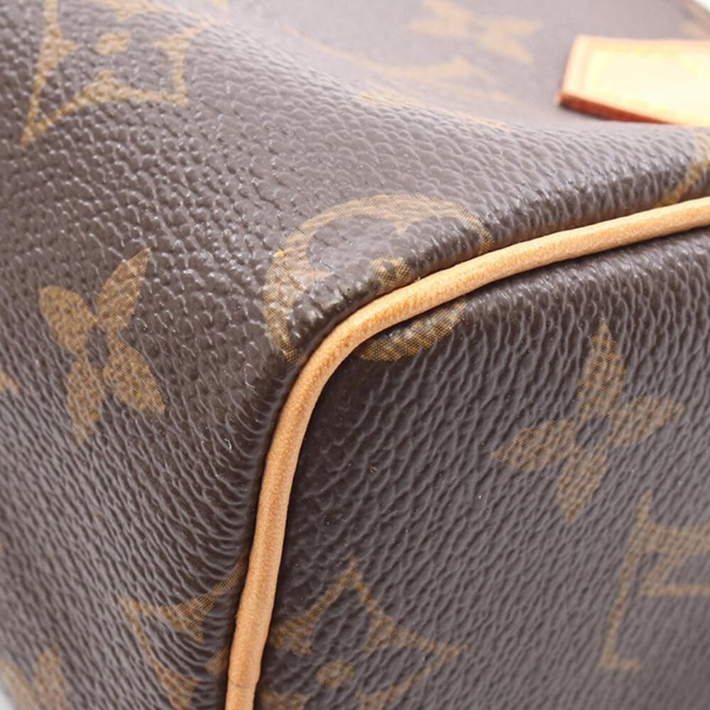 Louis Vuitton Speedy