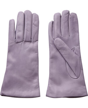 2BT Lavender
