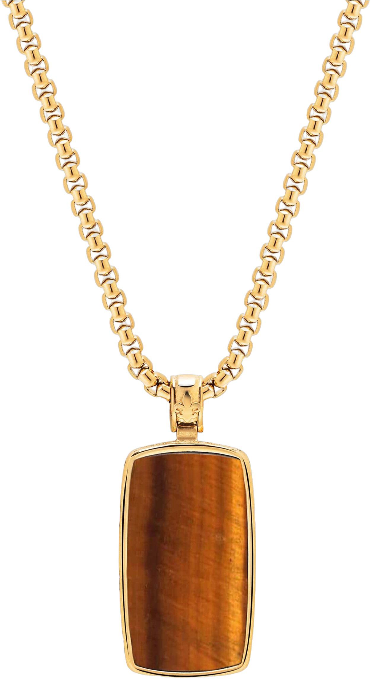 Tiger Eye Dog Tag Necklace in Gold