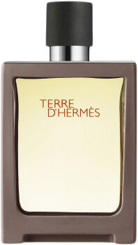 TERRE D'HERM&Eacute;S EAU DE TOILETTE