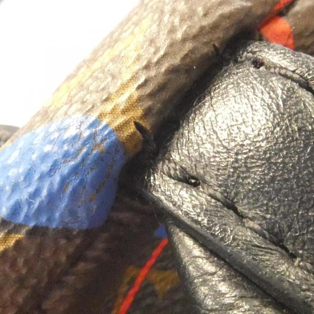 Louis Vuitton Palm Springs