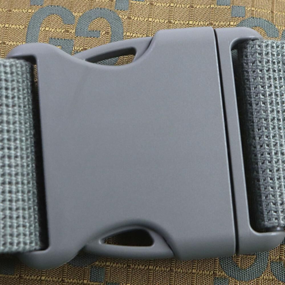 Gucci Belt Bag