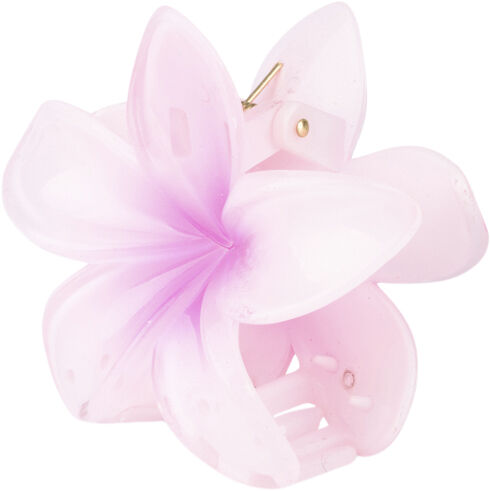 Plumeria Clarity Big