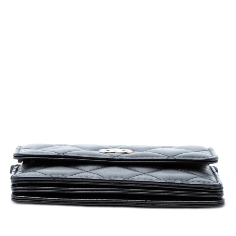 Chanel Flap Bag