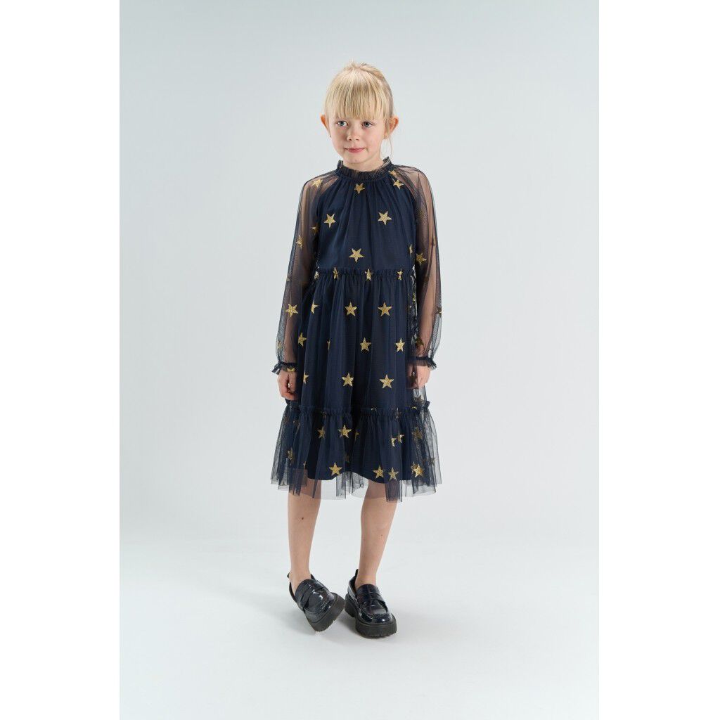 Tnyudelle Mesh L_S Dress