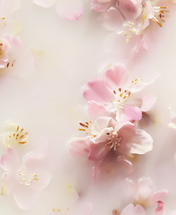 Refreshing Spray Sakura