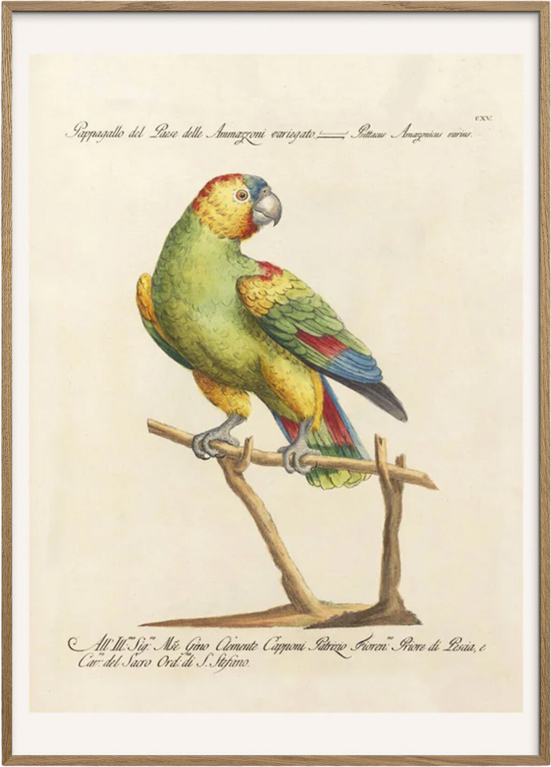 Artimuus - Artimuus 141