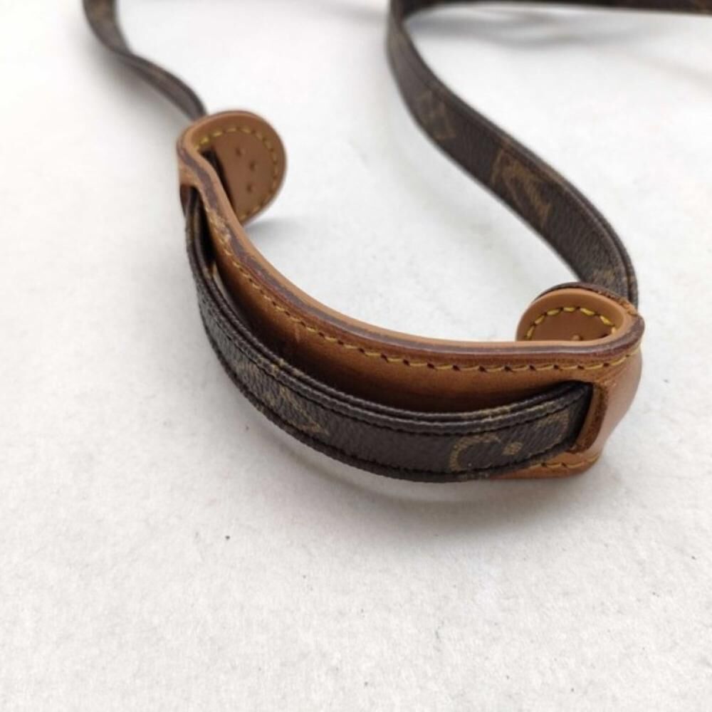 Louis Vuitton Shoulder Bags