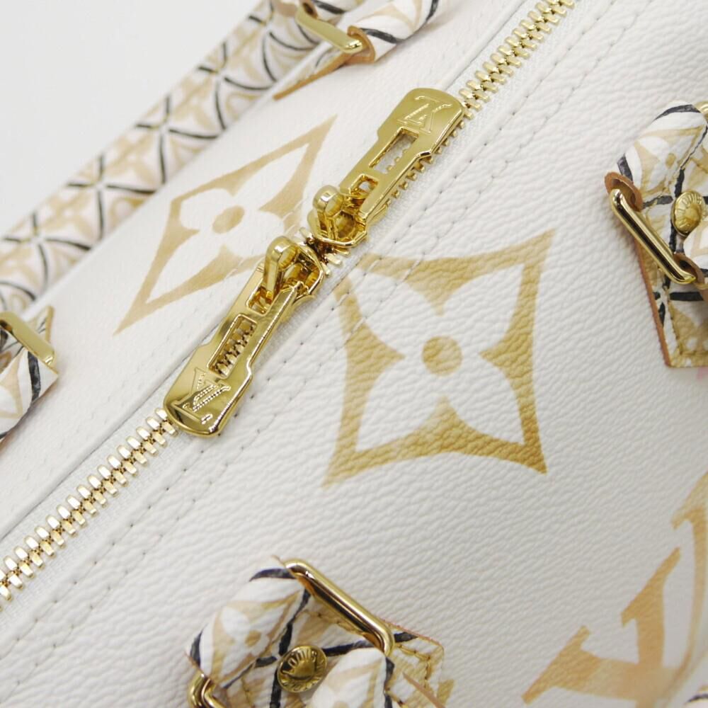 Louis Vuitton Speedy