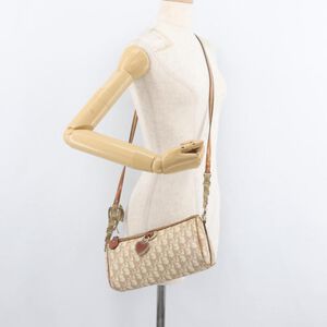 Dior Shoulder Bag