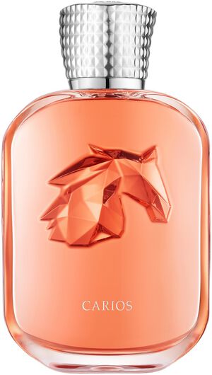 CARIOS EDP 100 ML