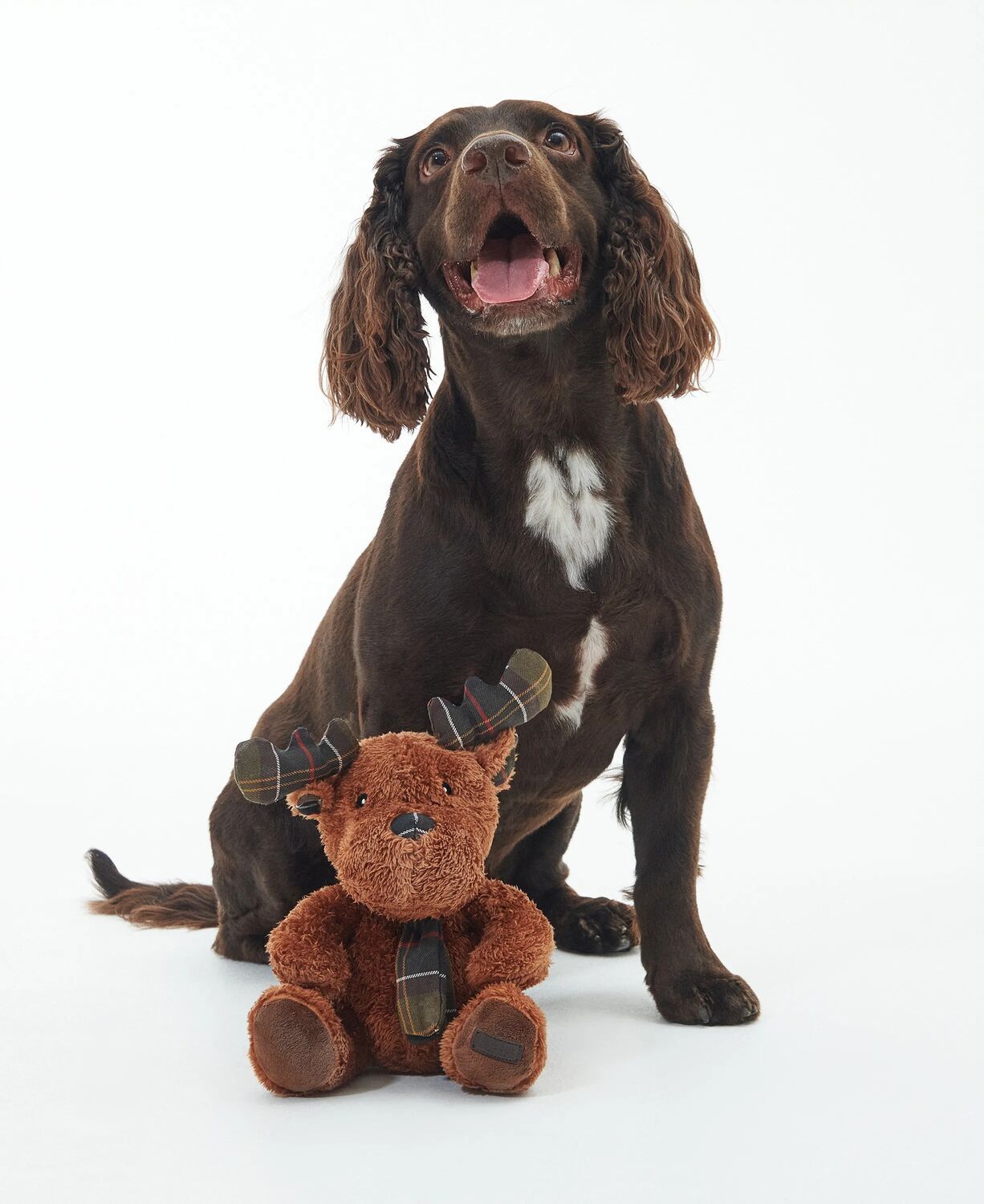 Barbour Reindeer Toy