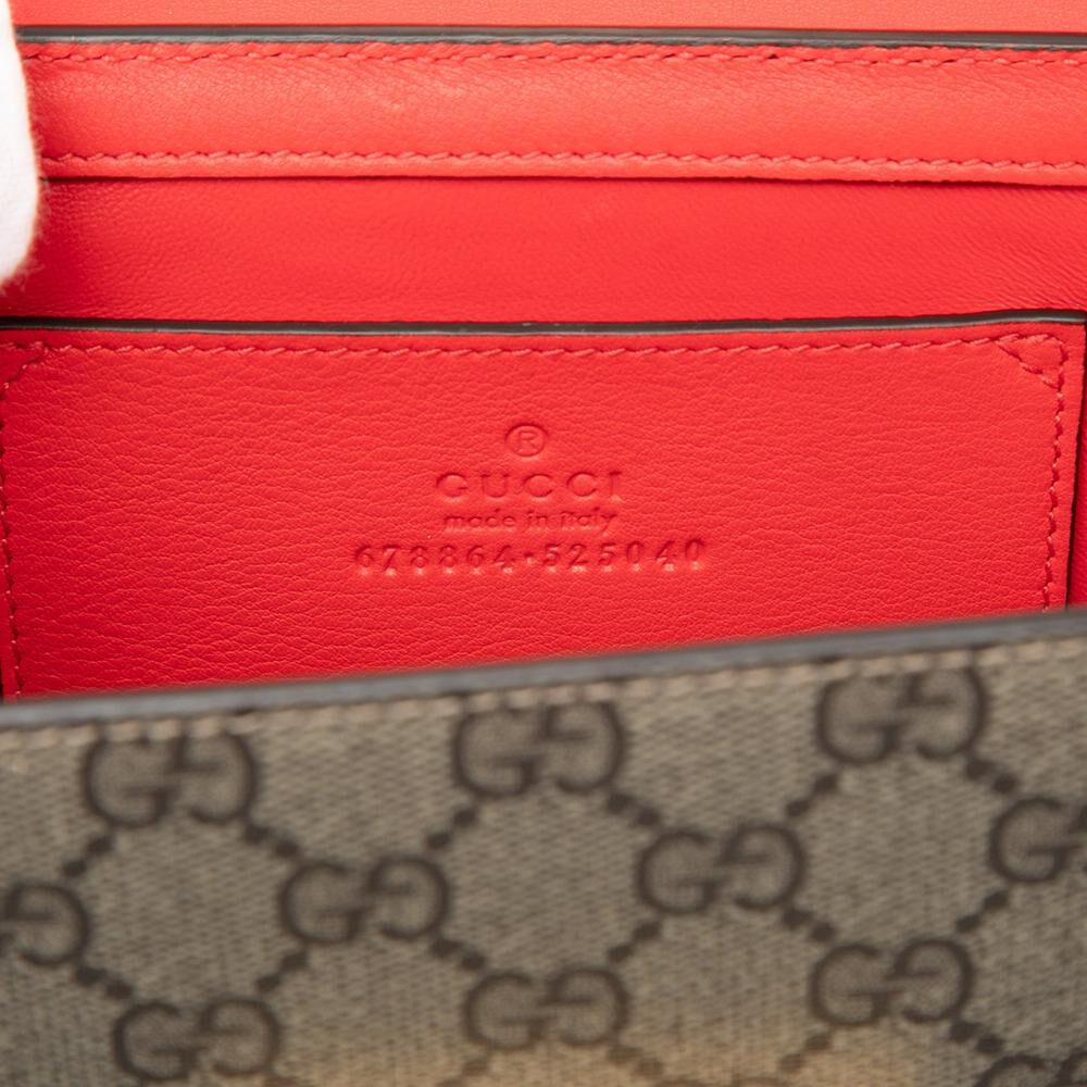 Gucci Crossbody Bag