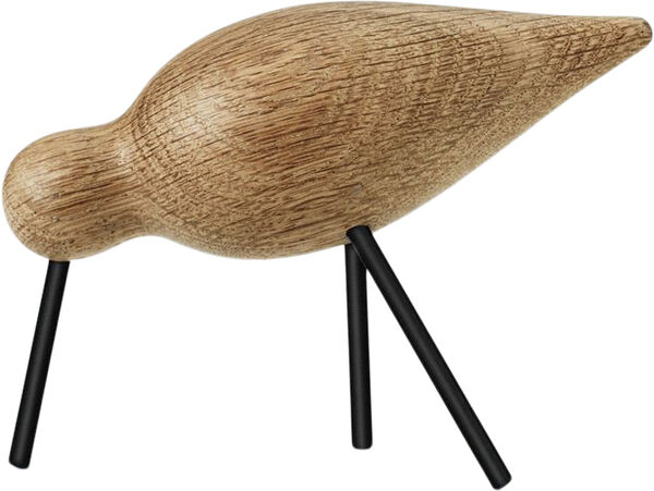 Shorebird mellan svart