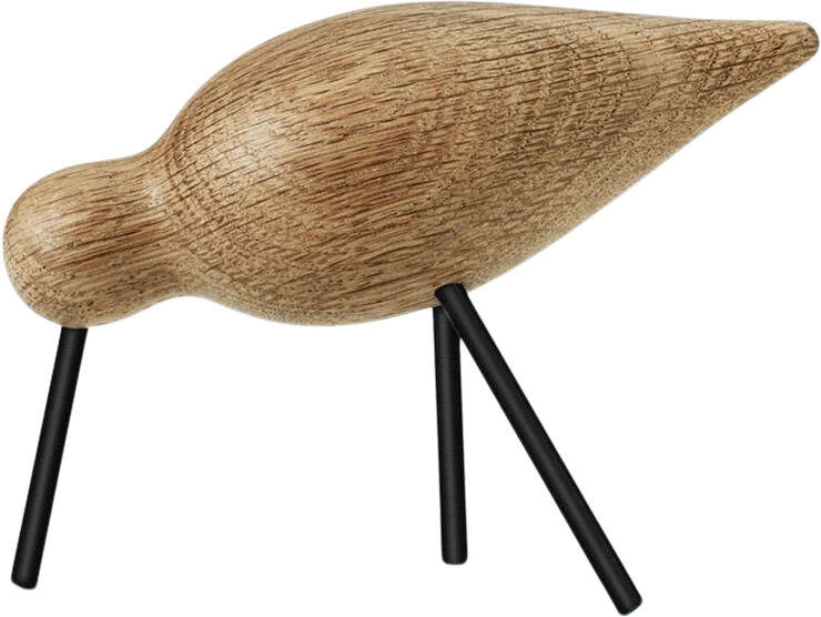 Shorebird mellan svart