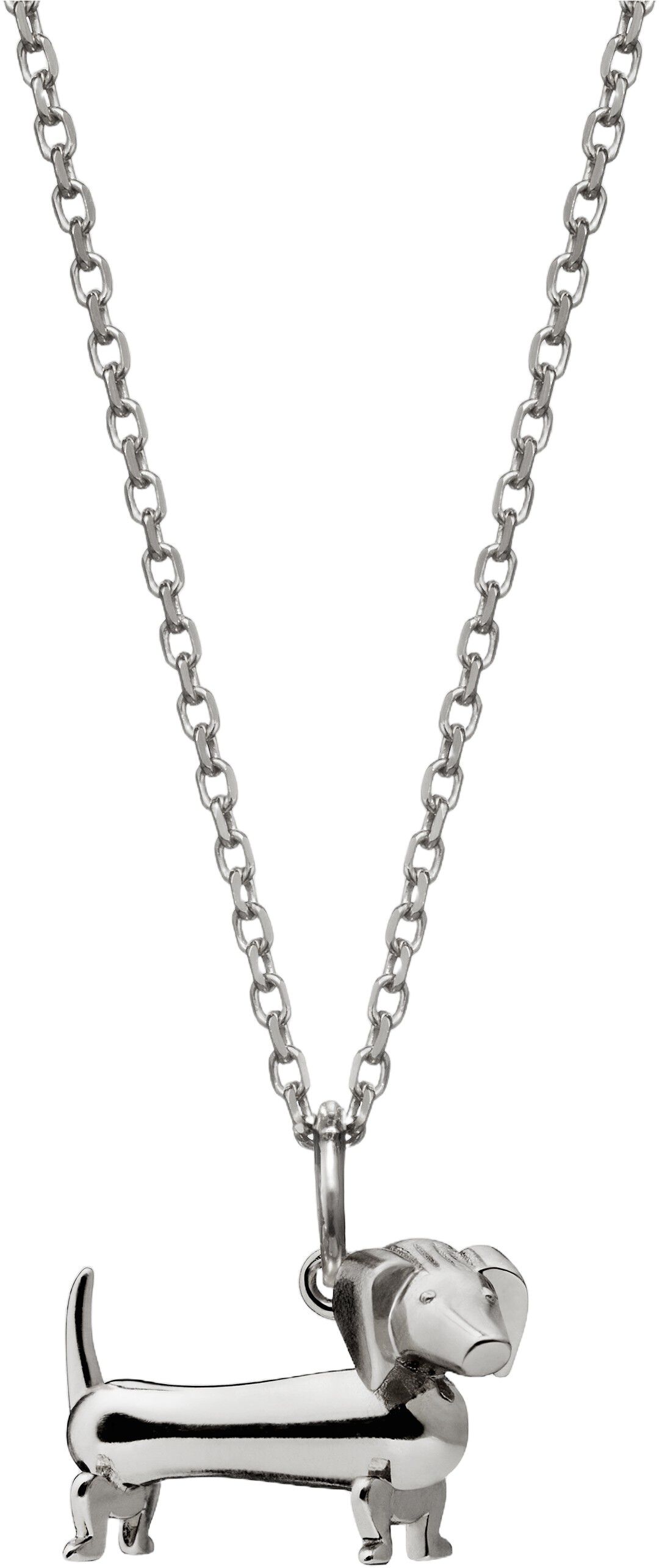 Gravhunden i s&oslash;lv uden k&aelig;de