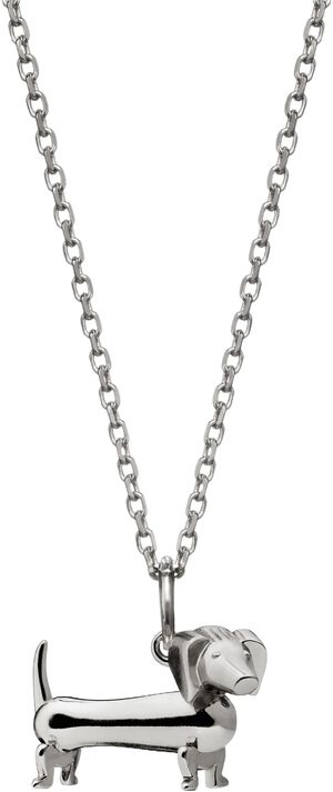 Gravhunden i s&oslash;lv uden k&aelig;de