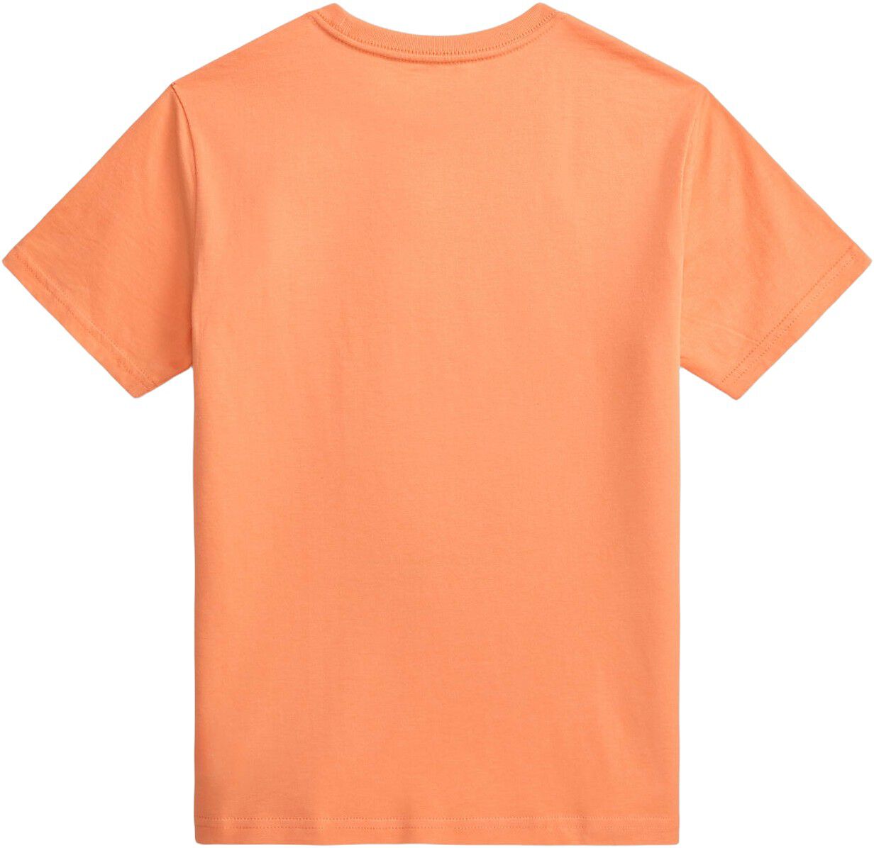 Polo Bear Cotton Jersey Tee