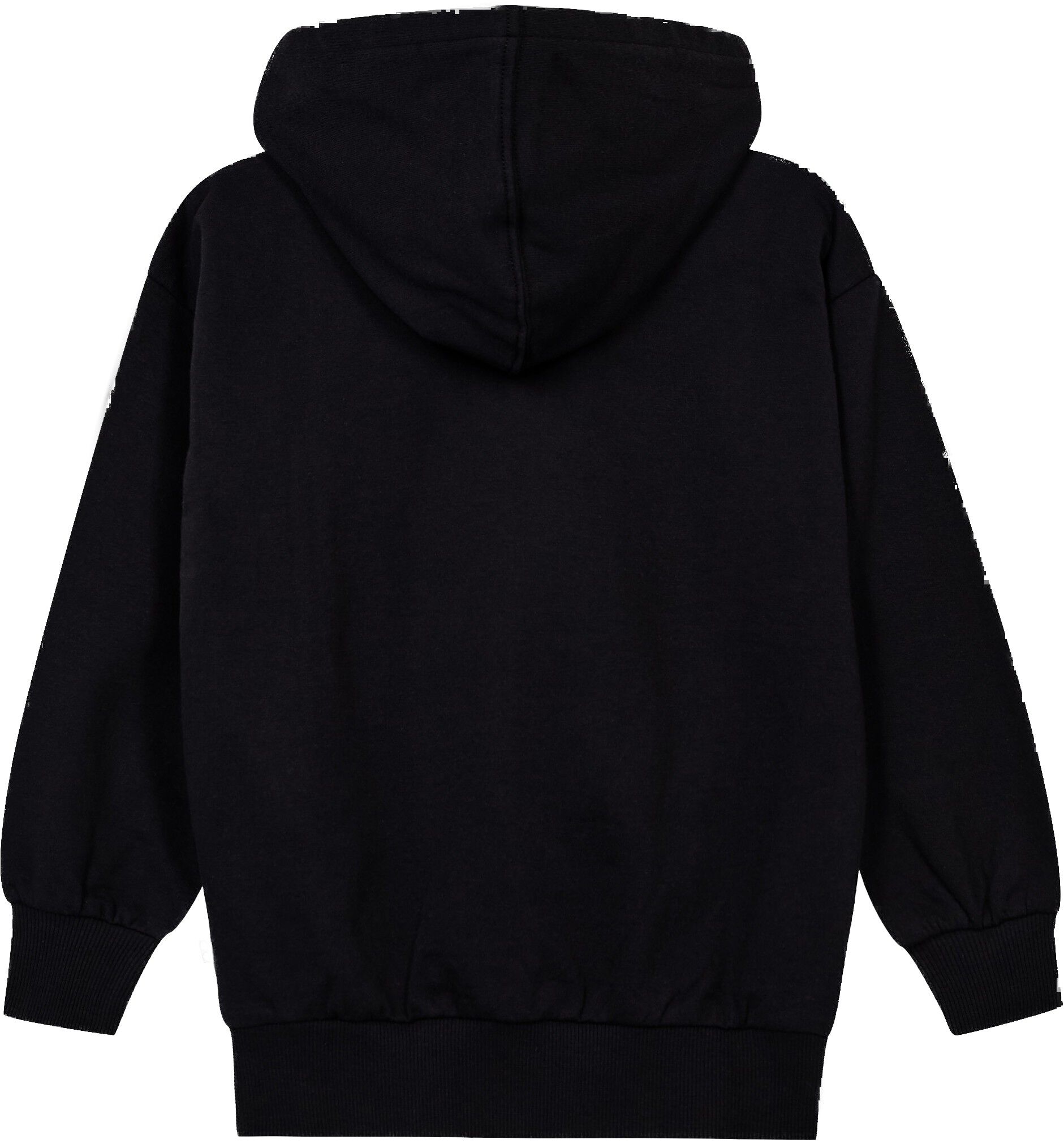 LWSIAN 700 - HOODED SWEATSHIRT
