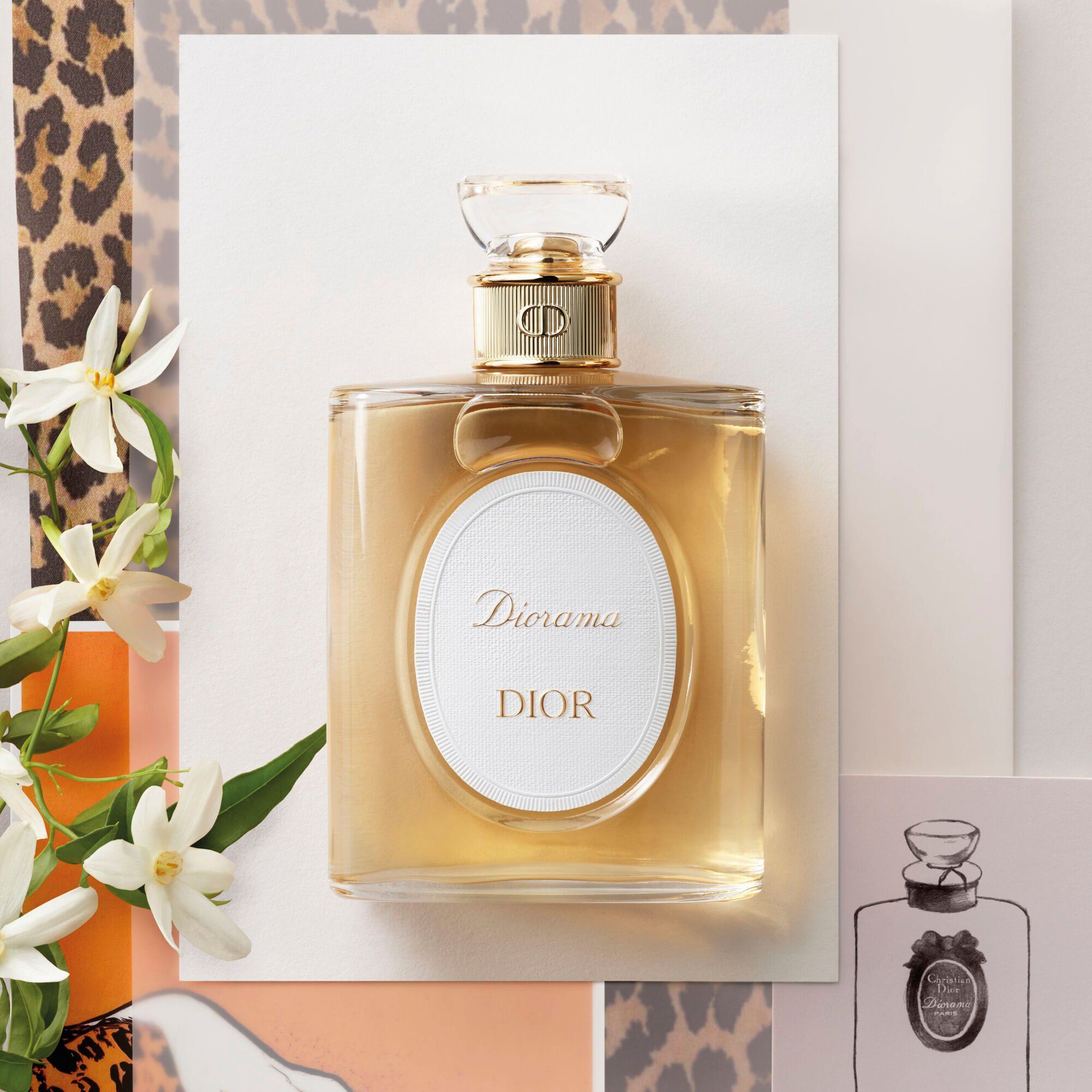 Diorama Eau de toilette - Chypre and spicy notes