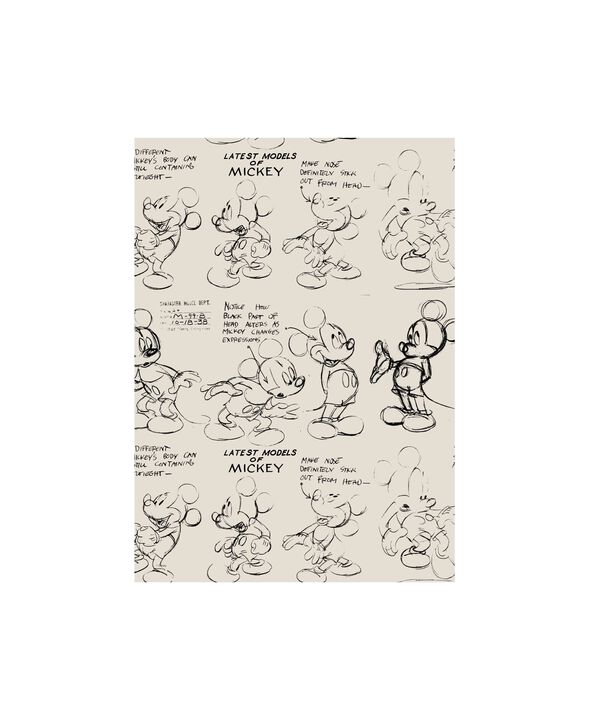 Disney - Mickey Mouse Latest Models of Mickey